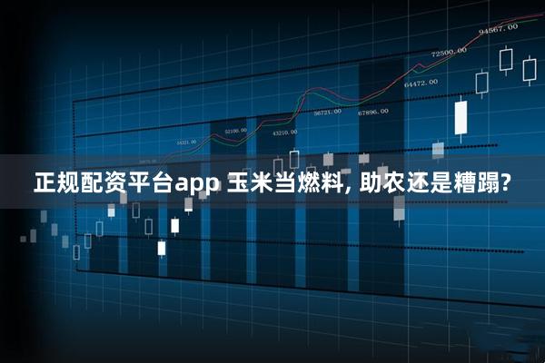 正规配资平台app 玉米当燃料, 助农还是糟蹋?