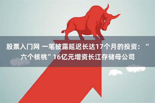 股票入门网 一笔披露延迟长达17个月的投资：“六个核桃”16亿元增资长江存储母公司