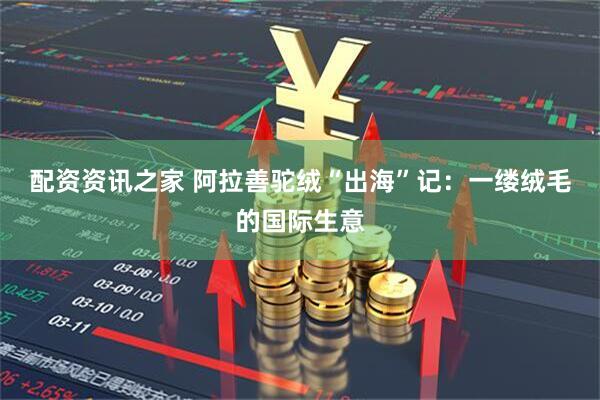 配资资讯之家 阿拉善驼绒“出海”记：一缕绒毛的国际生意