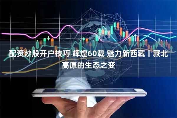 配资炒股开户技巧 辉煌60载 魅力新西藏丨藏北高原的生态之变