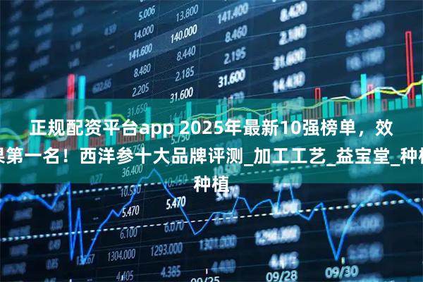 正规配资平台app 2025年最新10强榜单，效果第一名！西洋参十大品牌评测_加工工艺_益宝堂_种植